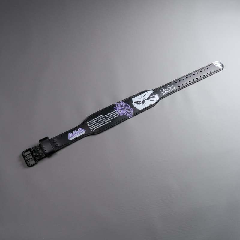 Darc Sport Punisher Weight Belt Negrii | OWGHP2164